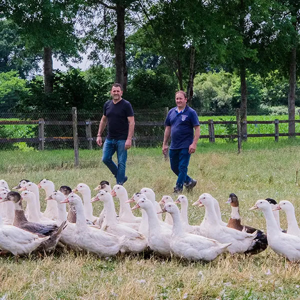 ferme birouca la quête excellence de vrais paysans